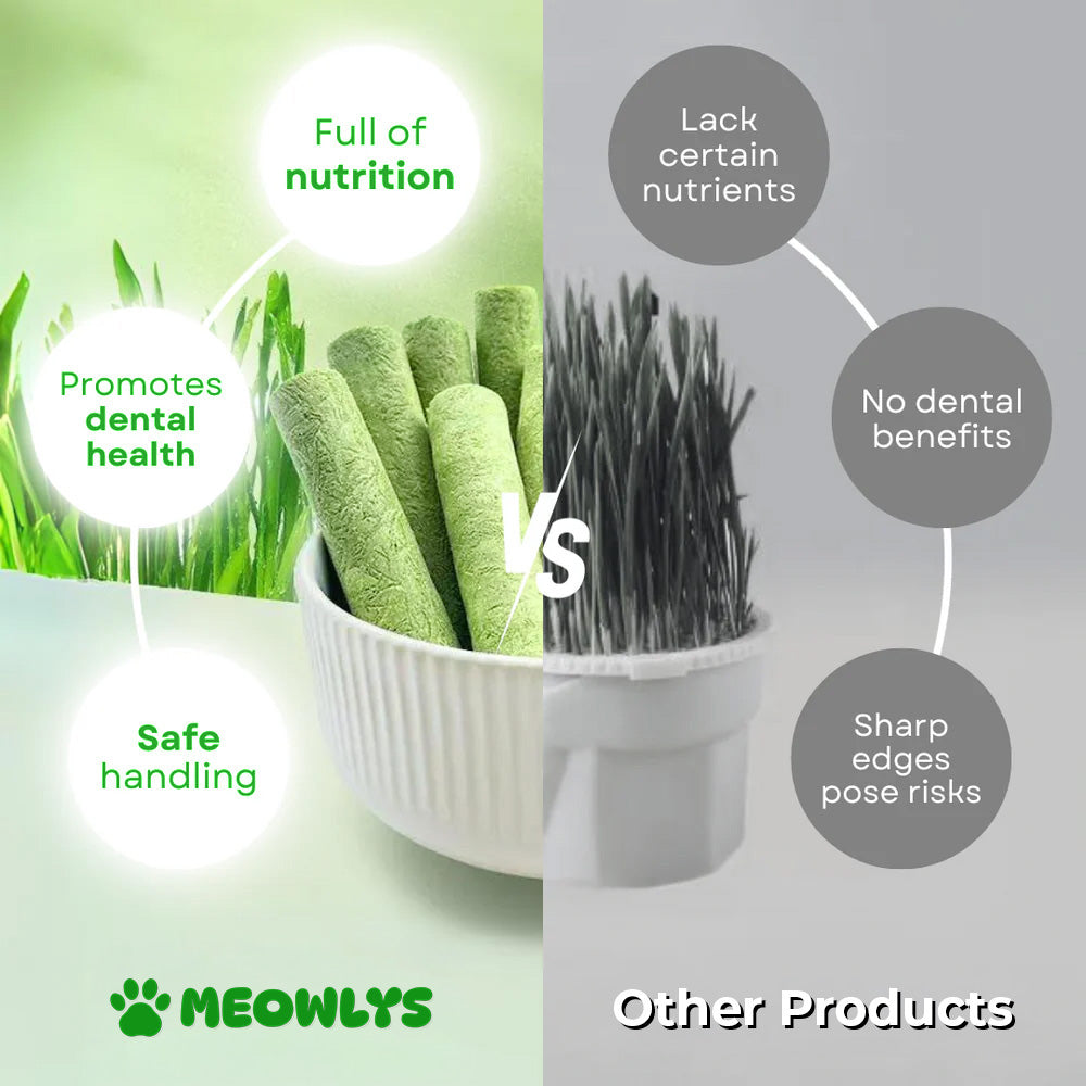 Cat Grass Teething Sticks