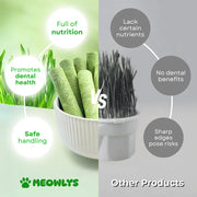Cat Grass Teething Sticks