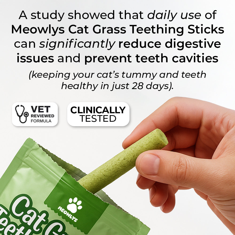 Cat Grass Teething Sticks