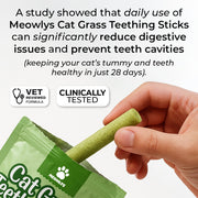 Cat Grass Teething Sticks