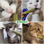 Cat Grass Teething Sticks