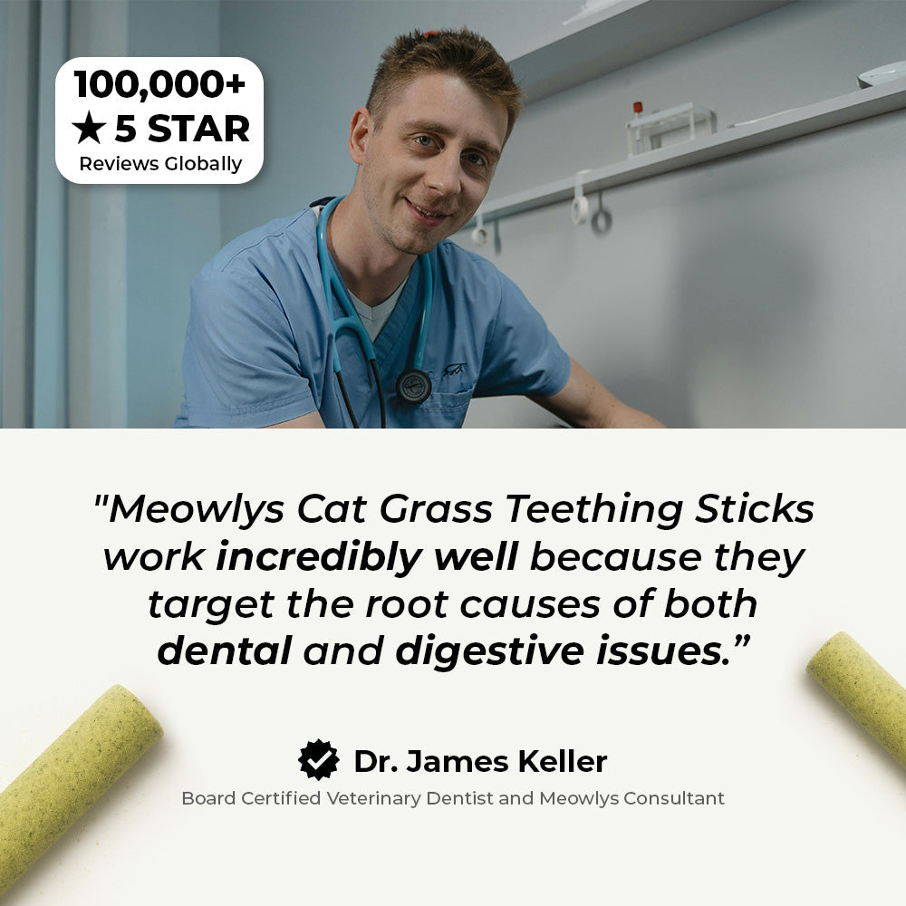 Cat Grass Teething Sticks