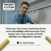 Cat Grass Teething Sticks